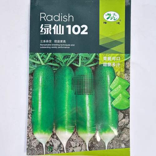绿仙102水果青萝卜种子口感好优质高产抗病商品性佳农家秋季播种