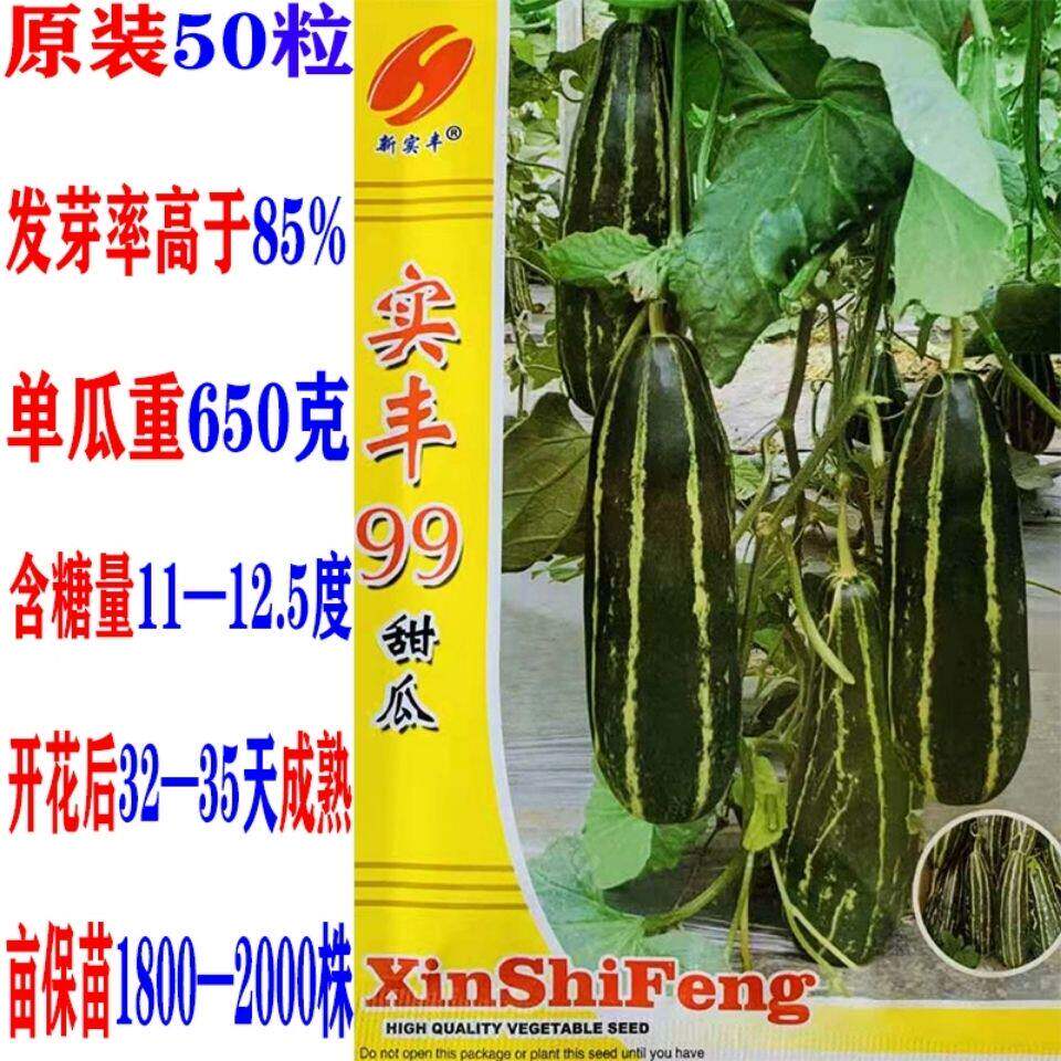 实丰99号甜瓜绿肉种子杂交高产春秋四季果种孑 瓜类蔬果 大田种籽