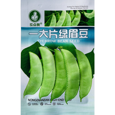 大肉绿眉豆猪耳朵扁豆种子种籽南方四季豆角梅豆角梅豆孑架豆菜豆