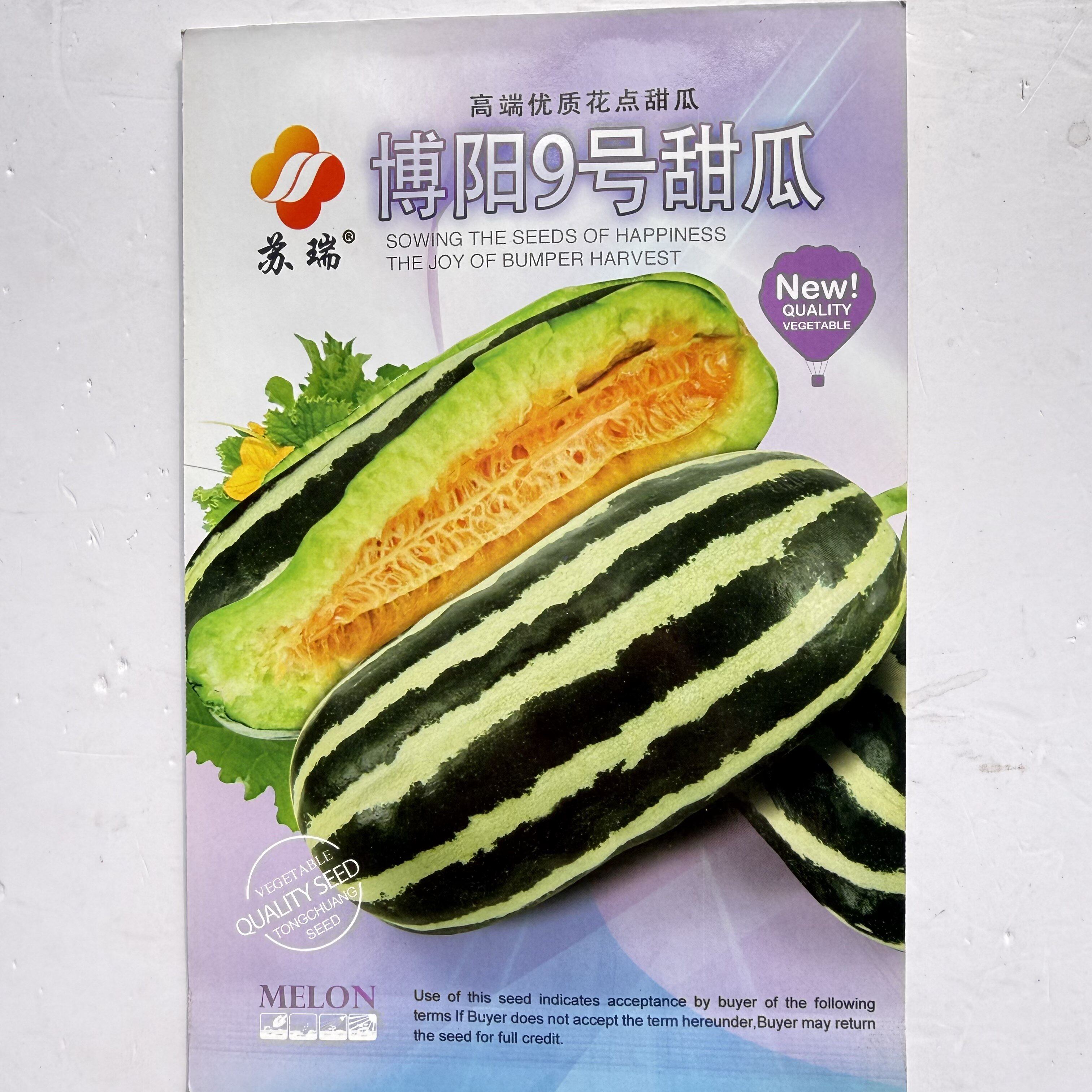 博阳9号甜瓜种籽高产香瓜种子酥脆绿肉早熟薄皮香甜芝麻蜜甜瓜种