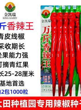 万斤香辣王特长线椒种子特辣线椒种薄皮辣椒种子高产特香辣线椒籽