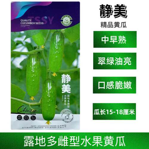静美水果黄瓜种子雌性水果黄瓜种子节节有瓜翠绿油亮水果黄瓜种子