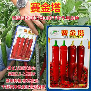 同乐赛金塔辣椒种子朝天椒种籽早熟中厚皮辣味强干鲜两用蔬菜种籽