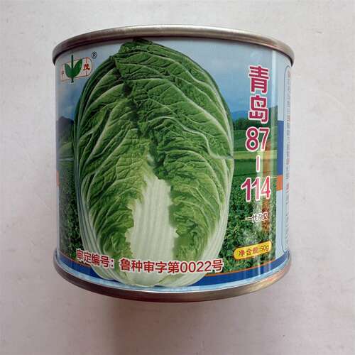 青岛87一114大白菜种子中熟抗病高产耐热耐寒春秋播山东大白菜种