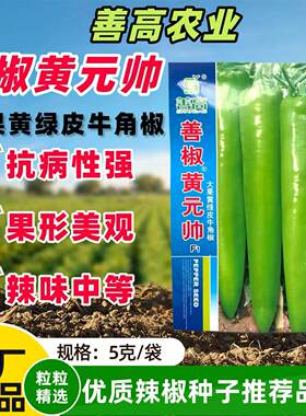 善椒黄元帅辣椒种子大果尖椒黄绿皮早中熟辣味中等抗病高产牛角椒
