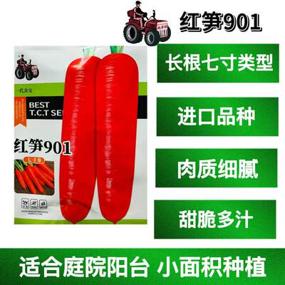 红笋901胡萝卜种子七寸参红皮红肉胡萝卜种籽甜脆多汁胡萝卜种孑