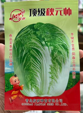 胶研秋元帅大白菜种子秋播结球白菜种籽心叶黄色冬储白菜蔬菜种籽