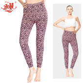 中老年女保暖裤 妈妈加厚高腰羊毛修身 1731 永展秋冬季 5007 8002