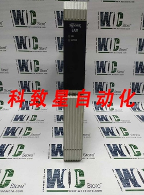 工业配件16154-101/01 39EAMCAN 模拟量模块