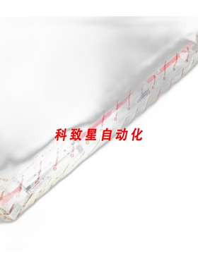 工业配件M/146132/M/475 RODLESS LINTRA PLUS DBLE ACT PISTON