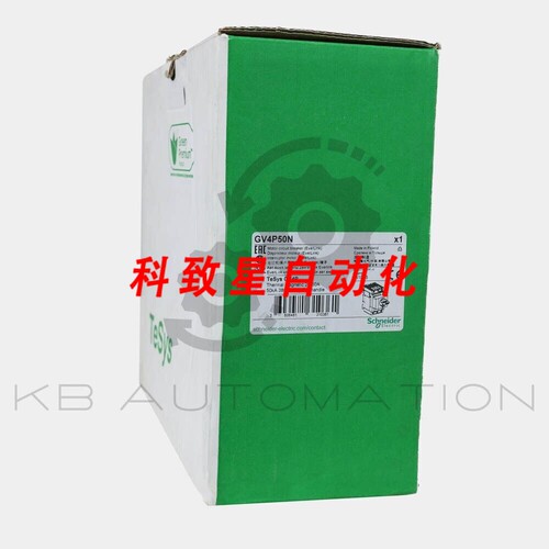 工业配件GV4P50N GV4热磁断路器50A 3P-EVERLINK