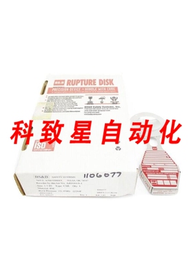 工业配件SAFETY SYSTEMS 1106077 121PSIG 284F