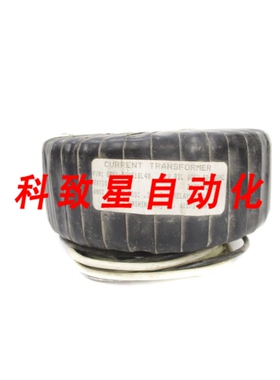 工业配件WICC G591-500B1BL48 500/5