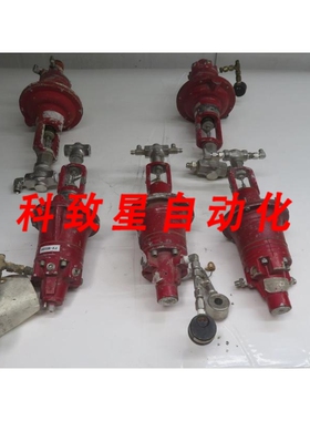 工业配件BADGER METER 1002GCN36CV0PBLN36 控制器 T263874