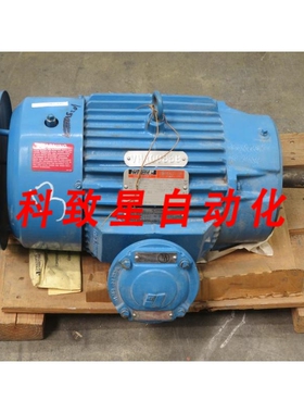 工业配件P21G1158-1 DUTY MASTER AC MOTOR T207552