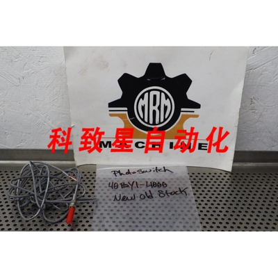工业配件PHOTOSWITCH 40BY1-4000 光源
