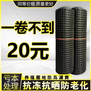 养鸡围栏网塑料网格防护隔离养殖圈地菜园果园玉米大棚防鸟栅栏