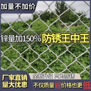 镀锌铁丝网围栏户外护栏网家用养殖牛羊拦鸡网菜园隔离网钢丝网格