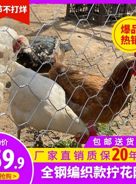热镀锌铁丝网钢丝网围养殖网养鸡养鸭防鼠防蛇养殖拧花网果园护栏