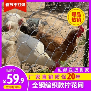 热镀锌铁丝网钢丝网围养殖网养鸡养鸭防鼠防蛇养殖拧花网果园护栏