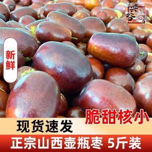 山西太谷壶瓶枣新鲜特产当季现摘蜜枣水果甜枣脆枣大果王鲜枣