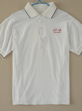北京小学翡翠城分校校服本部广内天宁寺长阳红山大兴短袖T恤POLO