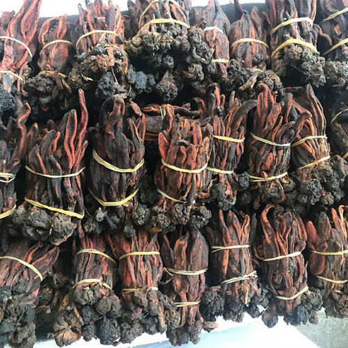 新货250g回春草不老草顶天柱泡酒料风流果锁阳肉苁蓉男性肾滋补酒