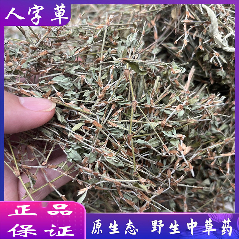 人字草中药材 丁贵草 掐不齐苍蝇翼 鸡眼草500整株野生人字草三叶