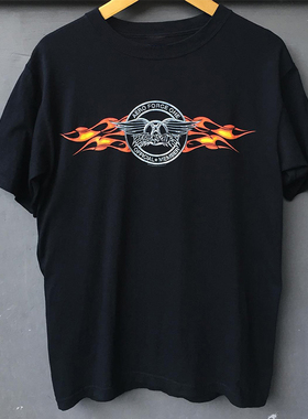 Aerosmith空中铁匠乐队摇滚重磅棉cityboy高街vibe短袖男女T恤潮