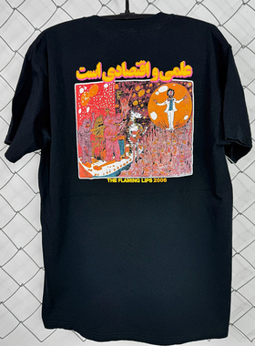 The Flaming Lips烈焰红唇合唱团潮牌短袖T恤Rapcore美式复古半袖