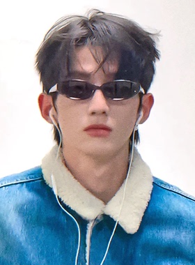 赖伟明同款墨镜男款2026新款高级感复古小框防紫外线近视太阳眼镜