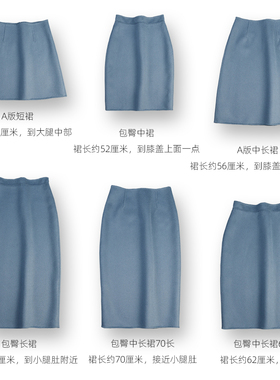 in家灰蓝色秋冬半身裙女短中长款双面羊毛呢绒包臀aA版型减龄通勤