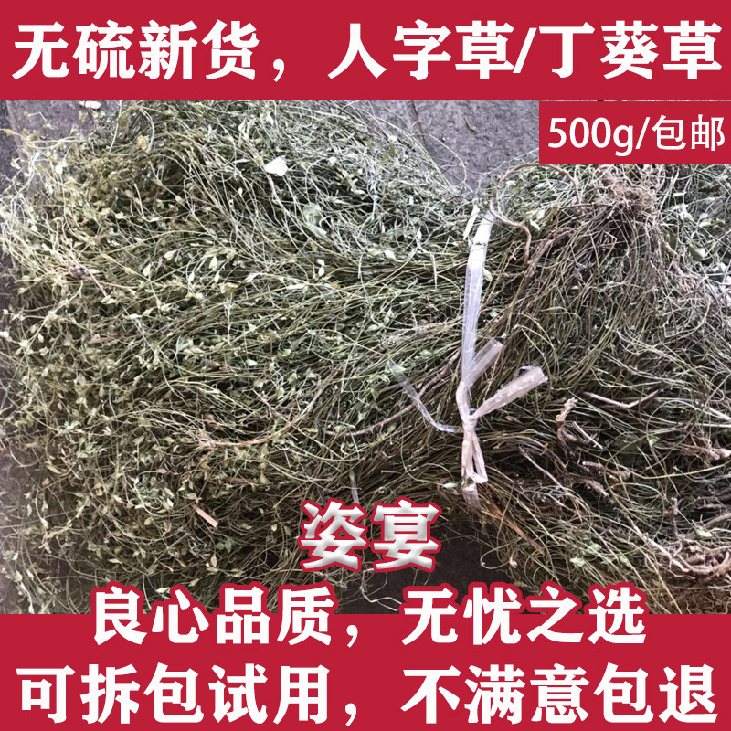 人字草 中药材丁葵草500g二叶人字草乌 蝇翼草丁贵草苍蝇翼蚂蚁草
