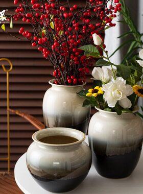 宋式美学亮面釉超好看的绝美花瓶2026热卖水养插花器现代简约风