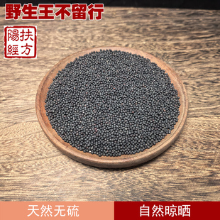 扶阳经方野生王不留行中药材 王不留行子炒王不留行籽