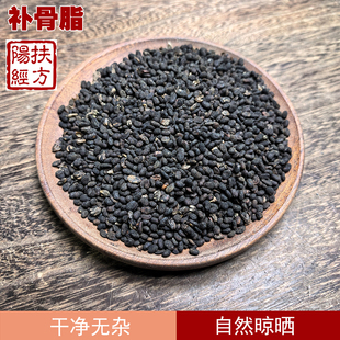扶阳经方 补骨脂中药材胡韭子破故纸 菊苣籽 菊苣籽 盐补骨脂
