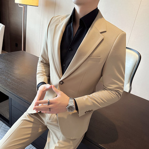 秋冬西服套装正装休闲新郎婚礼西装两件套A207-LJT805-P210图片