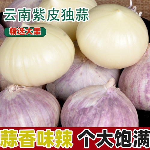 当季紫皮独头大蒜干蒜云南紫皮大蒜头农家新大蒜独蒜香蒜调料4斤