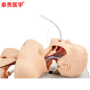TG/J50高级人体气管插管训练模型侧面观察口鼻咽气道管理急救假人