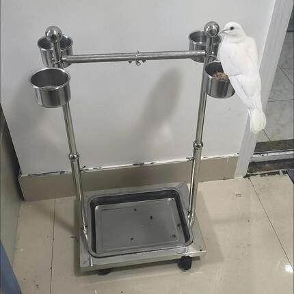 鹦鹉站架玄凤鹦鹉小太阳架子和尚站架落地架宠物用品