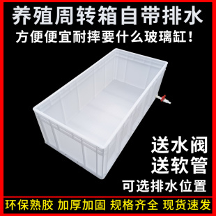白色工业风养殖箱带排水养龟鱼缸长方形造景水族箱龟池乌龟饲养缸