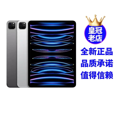 Apple/苹果 11英寸 iPad Pro 12.9 2021款平板电脑2022 13寸 2024