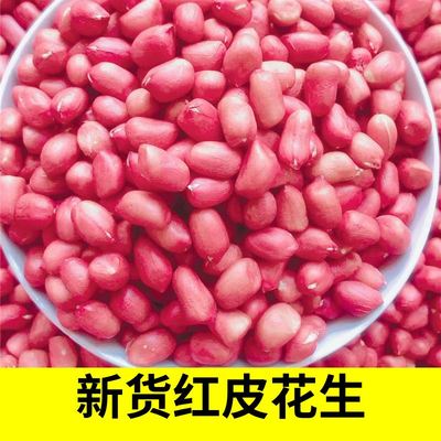 25年新货红皮花生米500g 山东特产去壳红衣四粒红生仁