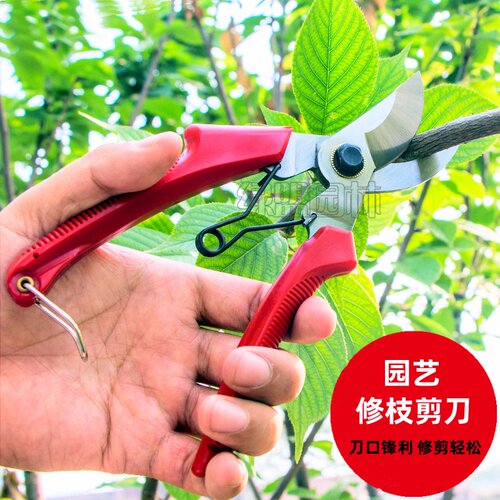 修枝剪树枝剪刀剪刀锋利耐用