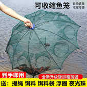 鱼网鱼笼折叠伞网伞笼只进不出捕鱼笼捞鱼网虾笼泥鳅黄鳝龙虾鱼网