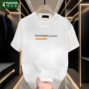 打底衫 啄木鸟夏新款 t恤潮流圆领休闲宽松青少年半袖 短袖 2026 男士