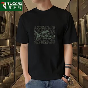 新款 啄木鸟纯棉男士 运动2025夏季 t恤时尚 宽松潮流套头上衣男t 短袖