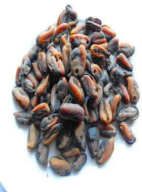 打折地产直播水产干货无沙淡菜干海红贻贝青口贝类250克特产散装
