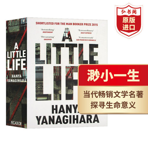 渺小一生文学名著英文原版