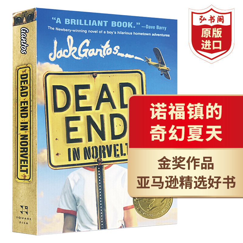 纽伯瑞金奖作品诺福镇的奇幻夏天